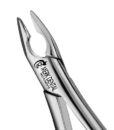 1 APICAL FORCEPS 1