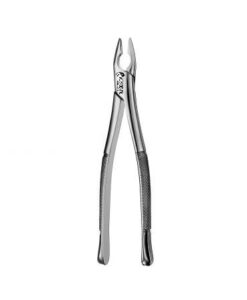 1 APICAL FORCEPS