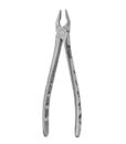 1 Apical Forceps, Upper Incisors, Atraumair 1