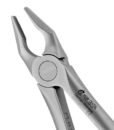 1 Apical Forceps, Upper Incisors, Atraumair 2