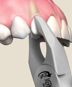 1 Apical Forceps, Upper Incisors, Atraumair