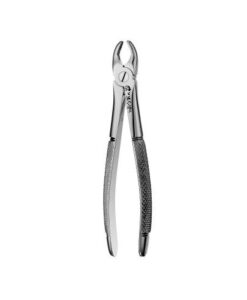 1 EUROPEAN STYLE FORCEPS