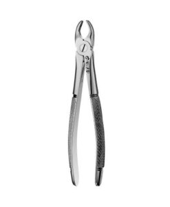 1 EUROPEAN STYLE FORCEPS, UPPER ANTERIORS