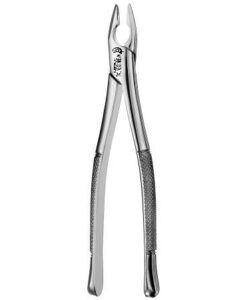 1 UPPER ANTERIOR, APICAL, ATLAS