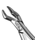10S Forceps 1 10S Forceps 1