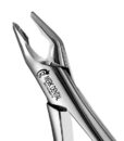 150 APICAL FORCEPS 1 150 APICAL FORCEPS 1
