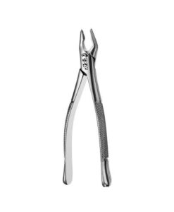 150 APICAL FORCEPS
