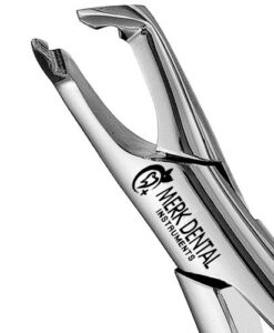 222 LOWER MOLARS, APICAL, IS FORCEPS