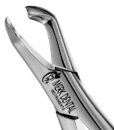 222 LOWER MOLARS, ATLAS 1 222 LOWER MOLARS, ATLAS 1