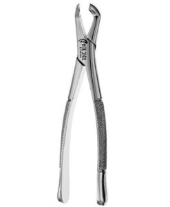 222 LOWER MOLARS, ATLAS