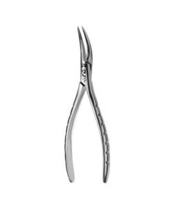 300 Root Forceps, Serrated
