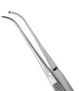 34, 1X2 CURVED SEMKIN-TAYLOR TISSUE PLIERS 1