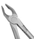 35 APICAL FORCEPS, UPPER CANINES AND PREMOLARS, ATRAUMAIR 1 35 APICAL FORCEPS, UPPER CANINES AND PREMOLARS, ATRAUMAIR 1