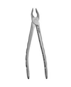 35 APICAL FORCEPS, UPPER CANINES AND PREMOLARS, ATRAUMAIR