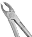 35 FORCEPS, UPPER CANINES AND PREMOLARS, ATRAUMAIR 1 35 FORCEPS, UPPER CANINES AND PREMOLARS, ATRAUMAIR 1