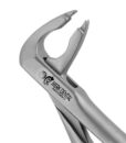 36 FORCEPS, LOWER INCISORS & CANINES, ATRAUMAIR 1 36 FORCEPS, LOWER INCISORS & CANINES, ATRAUMAIR 1