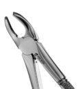 39 PEDO FORCEPS 1