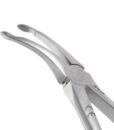 44 ROOT FORCEPS, DIAMOND DUSTED 1
