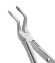 51 ROOT FORCEPS, DIAMOND DUSTED 1 51 ROOT FORCEPS, DIAMOND DUSTED 1