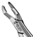 53L UPPER MOLARS, ATLAS 1 53L UPPER MOLARS, ATLAS 1