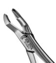 53R FORCEPS 1 53R FORCEPS 1