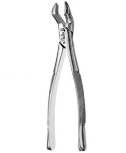 53R UPPER MOLARS, ATLAS