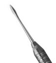 6 ANTERIOR PERIOTOME 1