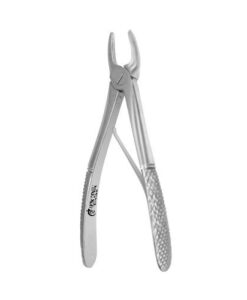 6C EUROPEAN PEDO FORCEPS, PREMOLARS