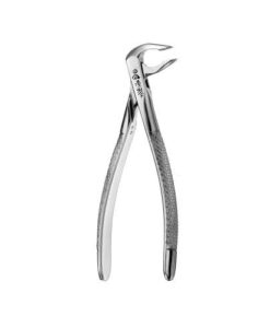 74N EUROPEAN STYLE APICAL FORCEPS