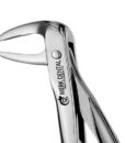 74N EUROPEAN STYLE ROOT FORCEPS, SERRATED 1 74N EUROPEAN STYLE ROOT FORCEPS, SERRATED 1