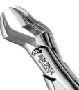 88L NEVIUS UPPER MOLARS, ATLAS 1 88L NEVIUS UPPER MOLARS, ATLAS 1