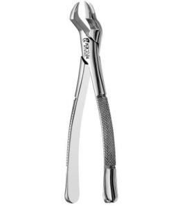 88L NEVIUS UPPER MOLARS, ATLAS
