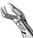 88R NEVIUS UPPER MOLARS, ATLAS 1 88R NEVIUS UPPER MOLARS, ATLAS 1