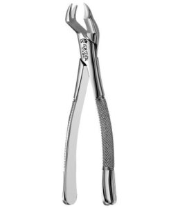 88R NEVIUS UPPER MOLARS, ATLAS