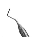 1 POSTERIOR PERIOTOME