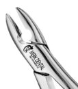 1 UPPER ANTERIOR, ATLAS 1