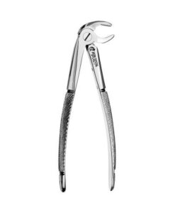13 EUROPEAN STYLE FORCEPS, LOWER PREMOLARS, ANTERIOR