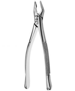 150 Cryer Upper Universal, Apical, Atlas