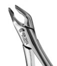 151 APICAL FORCEPS 1