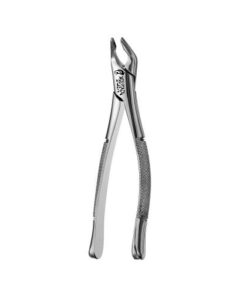 151 APICAL FORCEPS