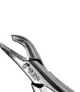 151S PEDO FORCEPS 1