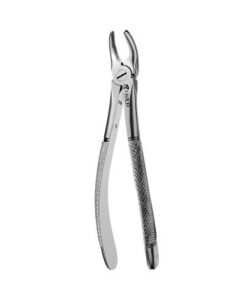 17 EUROPEAN STYLE FORCEPS, UPPER MOLAR, RIGHT