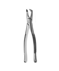 222 LOWER MOLARS, APICAL, ATLAS