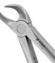 23 COWHORN FORCEPS, LOWER MOLARS, ATRAUMAIR 1 23 COWHORN FORCEPS, LOWER MOLARS, ATRAUMAIR 1