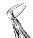 233 EUROPEAN STYLE ROOT FORCEPS, SERRATED 1