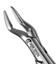 32 PARMLY ALVEOLAR FORCEPS 1 32 PARMLY ALVEOLAR FORCEPS 1