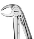 33 EUROPEAN STYLE ROOT FORCEPS, SERRATED 1