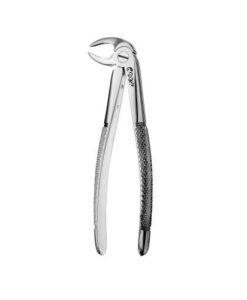 33 EUROPEAN STYLE ROOT FORCEPS, SERRATED