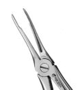 49 EUROPEAN STYLE ROOT FORCEPS, SERRATED 1