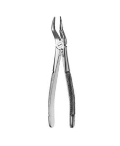51 EUROPEAN STYLE ROOT FORCEPS, SERRATED